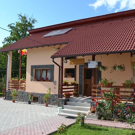 Villa Arnota Costesti  Esterno foto