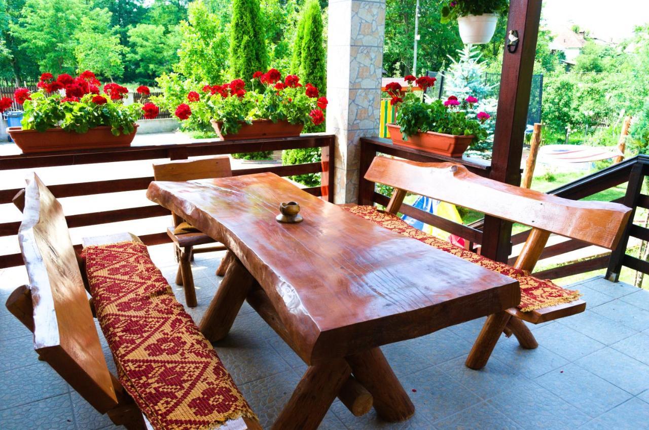 Villa Arnota Costesti  Esterno foto