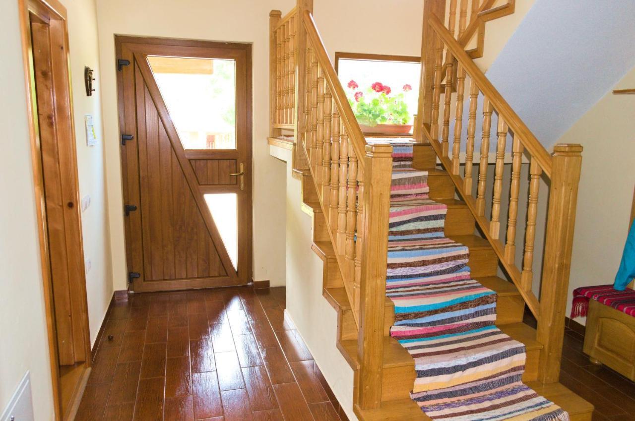 Villa Arnota Costesti  Esterno foto