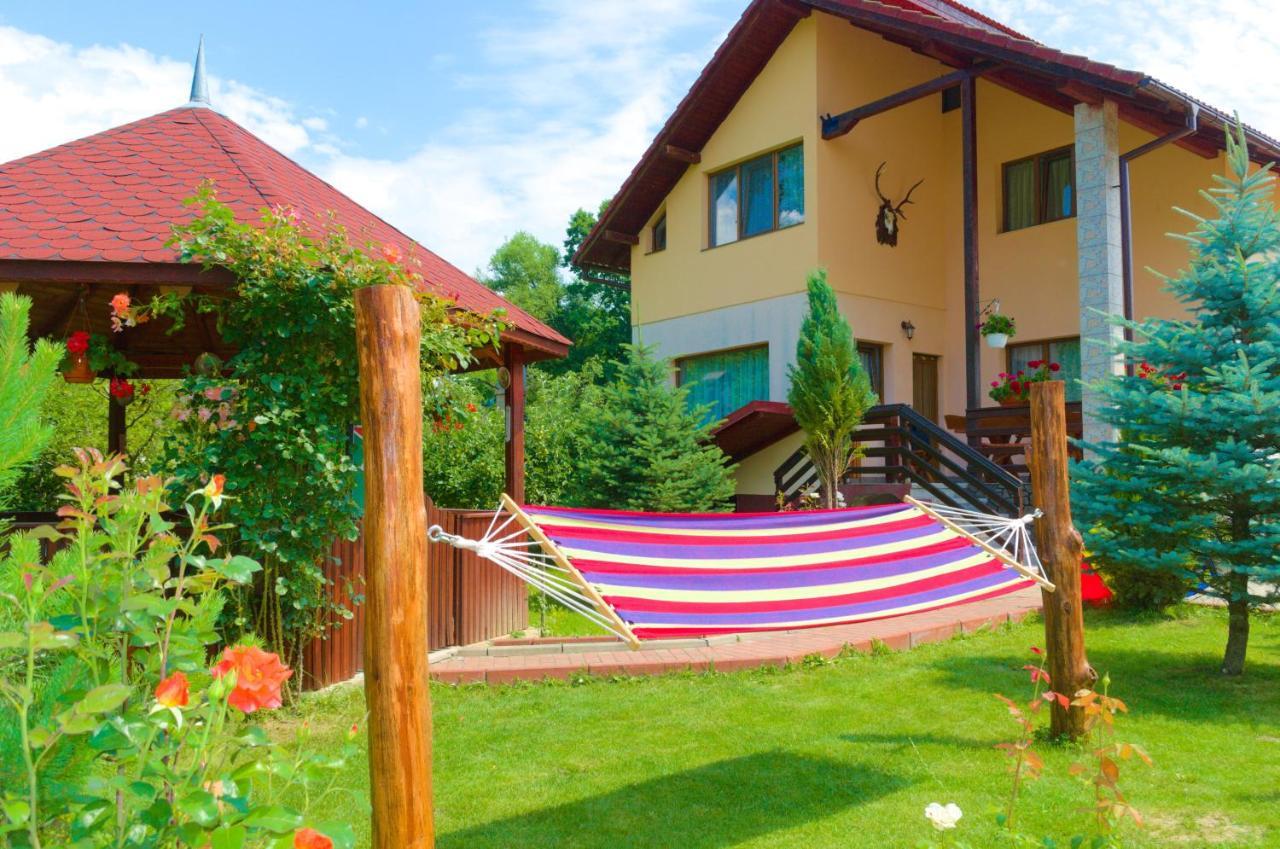 Villa Arnota Costesti  Esterno foto