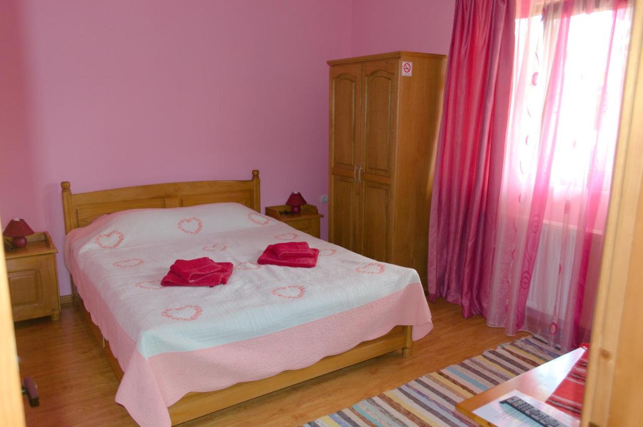 Villa Arnota Costesti  Esterno foto