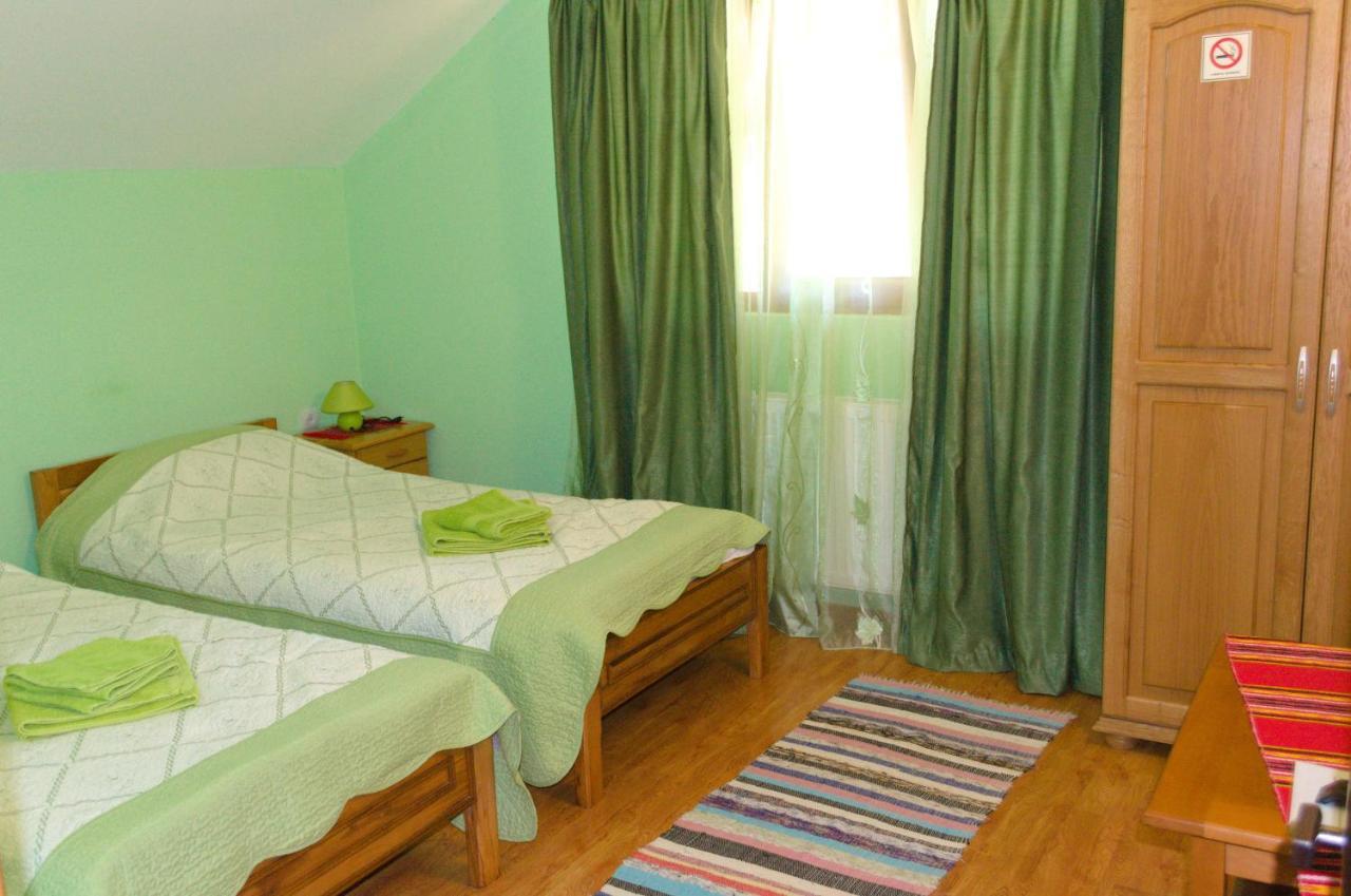 Villa Arnota Costesti  Esterno foto