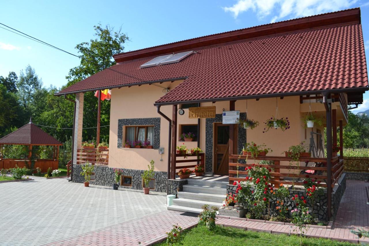 Villa Arnota Costesti  Esterno foto