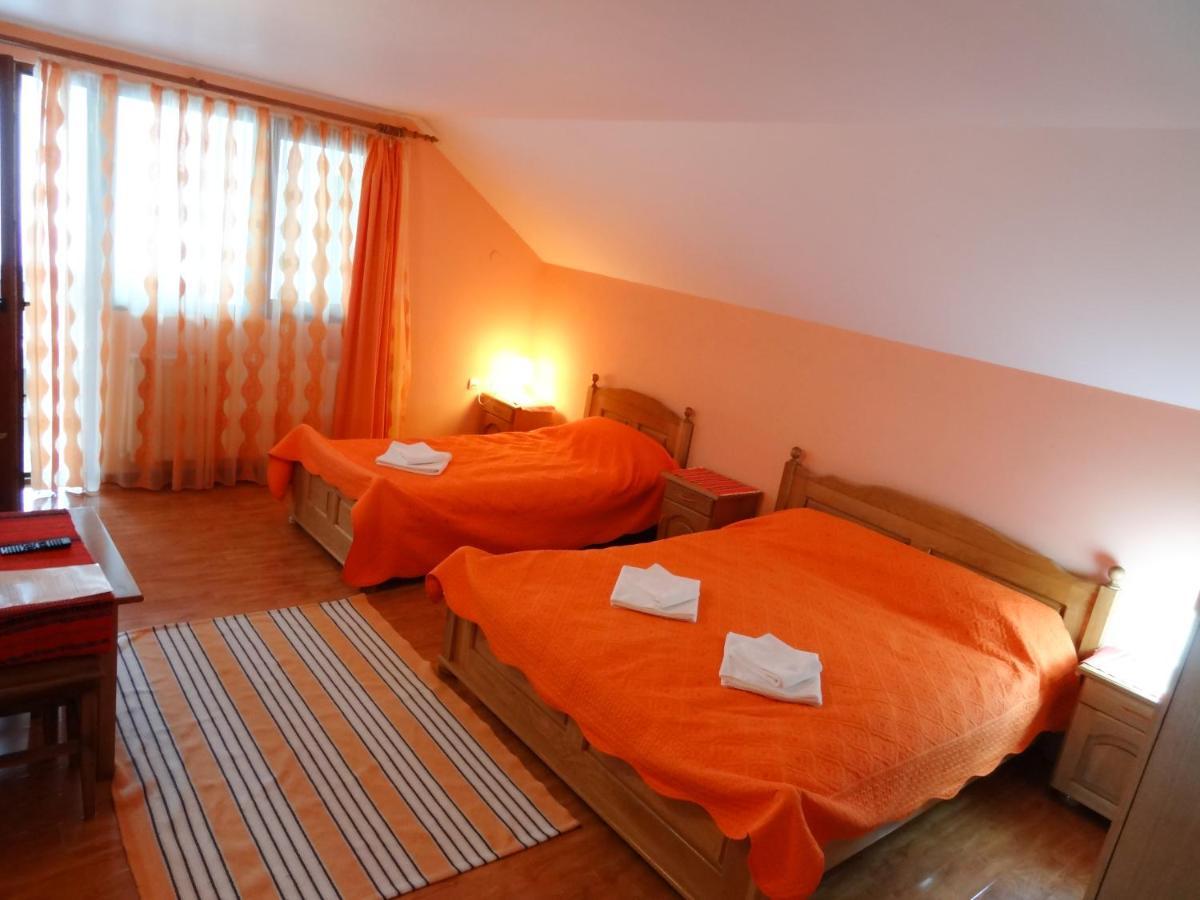 Villa Arnota Costesti  Esterno foto