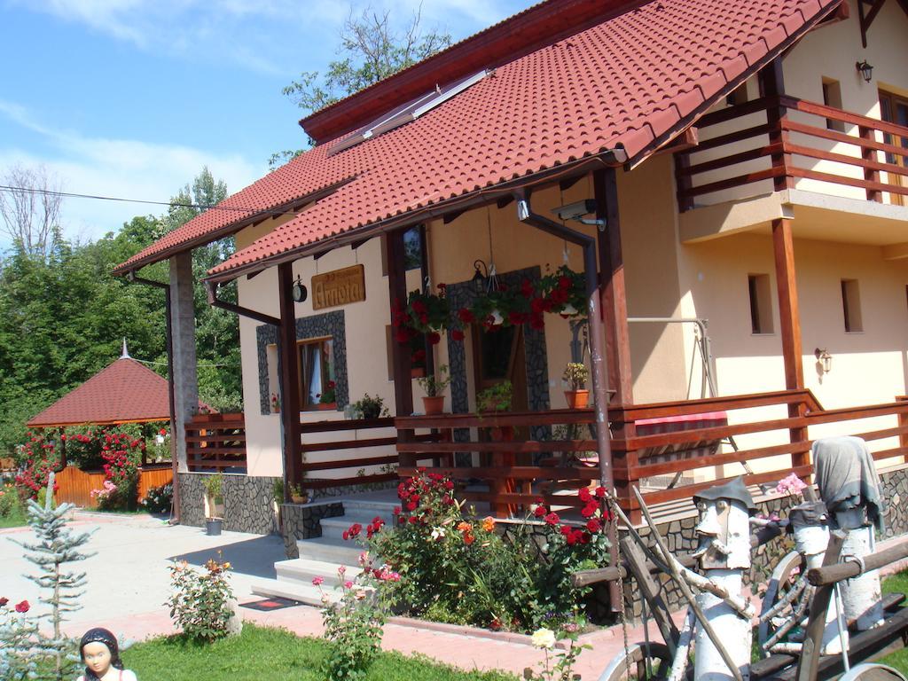 Villa Arnota Costesti  Esterno foto