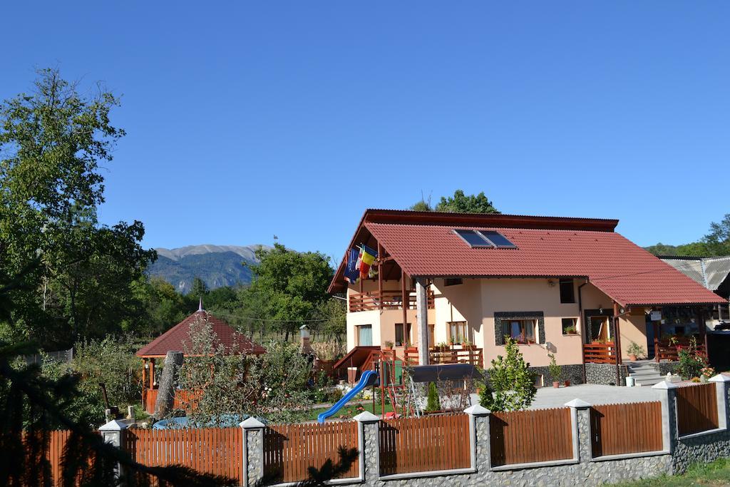Villa Arnota Costesti  Esterno foto