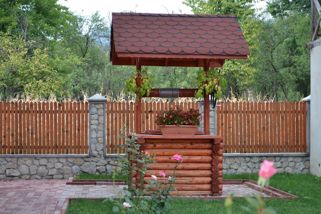Villa Arnota Costesti  Esterno foto
